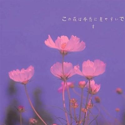 红色葫芦侠9.9.9版本下载